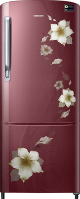 Samsung 212 L Direct Cool Single Door 4 Star 2019 Refrigerator Star Flower Red, RR22M274YR2/NL Samsung Refrigerators