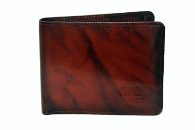 

Feather Touch Men Multicolor Genuine Leather Wallet(11 Card Slots)