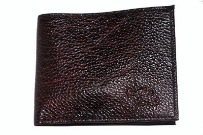 

Feather Touch Men Multicolor Genuine Leather Wallet(13 Card Slots)