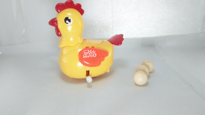 

ESIRKAR Egg laying hen(Multicolor)