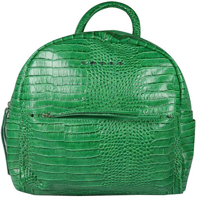 

Cross Victoria Backpack(Green, 15 inch)