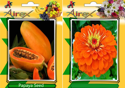 

Airex Papaya, Orange Zinnia Seed(20 per packet)