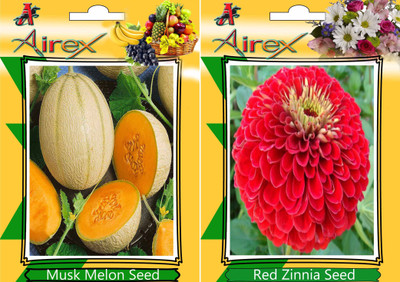 Airex Musk Melon, Red Zinnia Seed(15 per packet)