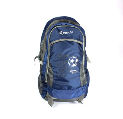 

CARRY MEE BACKPACK Waterproof Backpack(Blue, Grey, 50 L)