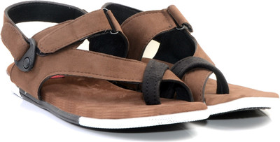 

Floxtar Men Brown Casual