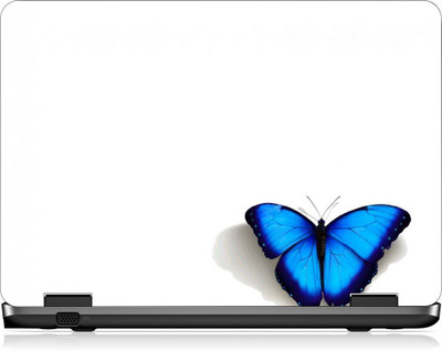 

Box 18 LP2390 Vinyl Laptop Decal 15.6