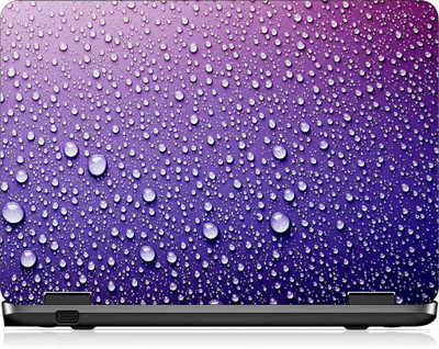 

Box 18 LP2366 Vinyl Laptop Decal 15.6