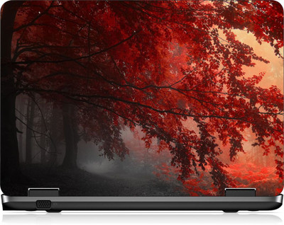

Box 18 LP2313 Vinyl Laptop Decal 15.6