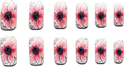 

Showy SAND0130(Red, Maroon, White)