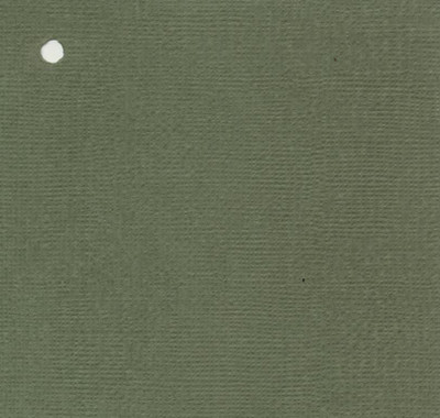 

craftsneed CARD STOCK PRINTED 12X12 Multipurpose Paper(Set of 1, Dark Green)