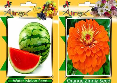 

Airex Water Melon, Orange Zinnia Seed(15 per packet)