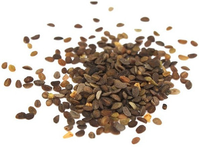 

ShubhBhakti Phlox Seeds Seed(20 per packet)