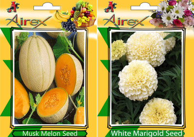 

Airex Musk Melon, White Marigold Seed(25 per packet)
