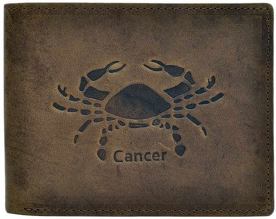 

Chappie Moustache Men Tan Genuine Leather Wallet(10 Card Slots), Tan-506