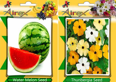 

Airex Water Melon, Thunbergia Seed(25 per packet)
