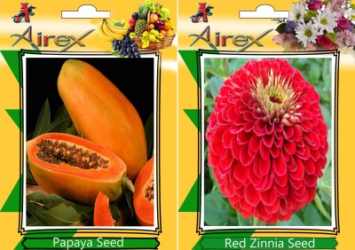 Airex Papaya, Red Zinnia Seed(15 per packet)