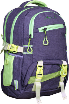 

Attache Dashing School Bag (Grey) 30 L Backpack(Multicolor)