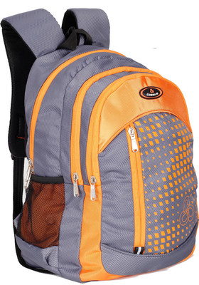 

Cosmus Maxmoon Grey School Bag 38 L Backpack(Multicolor)