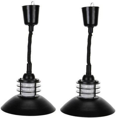 

WHITERAY Apollo Pendants Ceiling Lamp