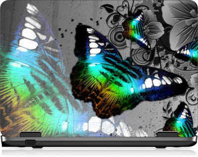 

Box 18 LP2486 Vinyl Laptop Decal 15.6