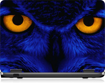

Box 18 LP2480 Vinyl Laptop Decal 15.6