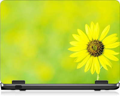 

Box 18 LP2427 Vinyl Laptop Decal 15.6
