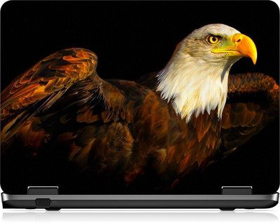 

Box 18 LP2432 Vinyl Laptop Decal 15.6