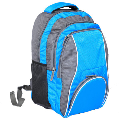

Kuber Industries 17 inch Laptop Backpack(Multicolor), Sky blue