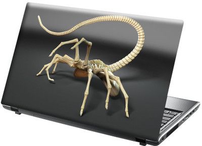 

Onlinemart Makdee Vinyl Laptop Decal 15.6