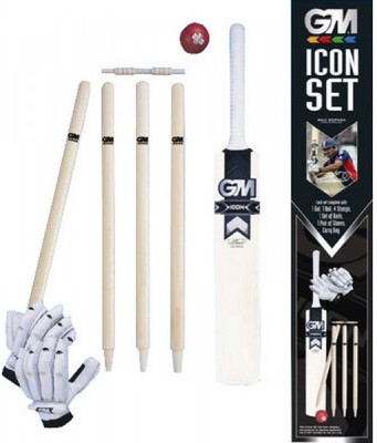 GM Icon with Gloves (Size 4) Cricket Kit