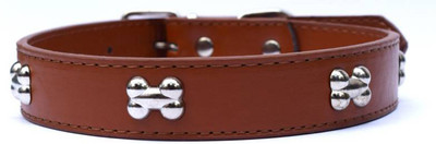 

Sollar's Dog Everyday Collar(, Brown