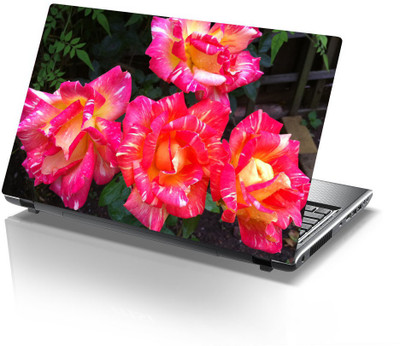 

Printclub Designer-497 Vinyl Laptop Decal 15.6