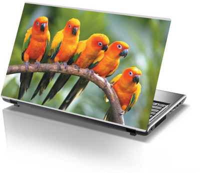 

Printclub Designer-812 Vinyl Laptop Decal 15.6