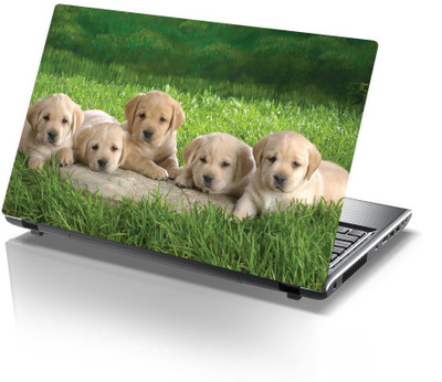 

Printclub Designer-803 Vinyl Laptop Decal 15.6