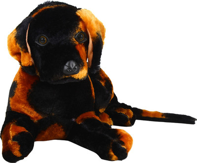 

Aqua De Vida Golden Black Dog - 2 inch(Multicolor)