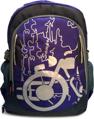 

ODDISH BACK BAG-012 Backpack(Multicolor, 20 inch)
