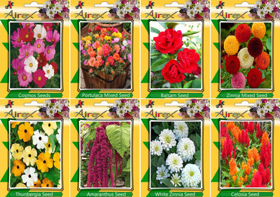 

Airex Cosmos Mixed, Portulaca Mixed, Balsam, Zinnia Mixed, Thunbergia, Amaranthus, white Zinnia, and Celosia Seed(20 per packet)