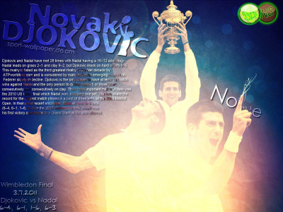 

Novak Djokovic Fine Quality Sports Wall Poster Fine Art Print(12 inch X 18 inch, Rolled)