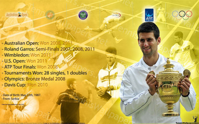 

Novak Djokovic Fine Quality Sports Wall Poster Fine Art Print(12 inch X 18 inch, Rolled)