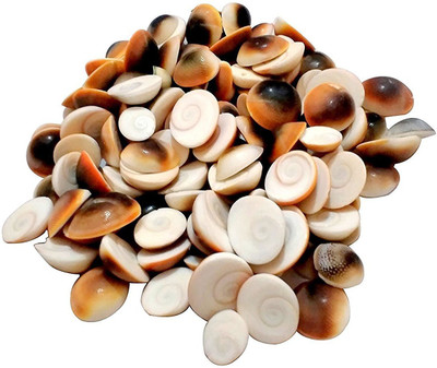 

SHIVOHAM Gomti River Shell 101pc (Gomti Chakra) Decorative Showpiece - 2 cm(Stoneware, Multicolor)