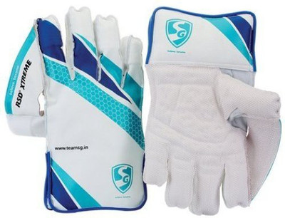 

SG RSD Xtreme Wicket Keeping Gloves (Men, Multicolor)