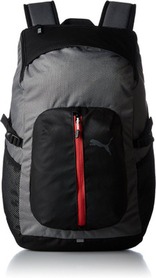 

Puma Apex 30 L Laptop Backpack(Grey, Black), Black;grey