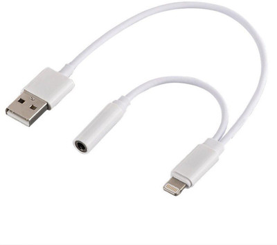 

techdizi 3.5mm Headphone Jack Adapter AUX Connector Charging Cable Lightning Cable(White)