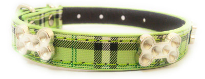 

Sollar's Pupp Dog Everyday Collar(, Green