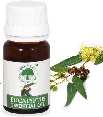 

Old Tree Eucalyptus Oil(15 ml)