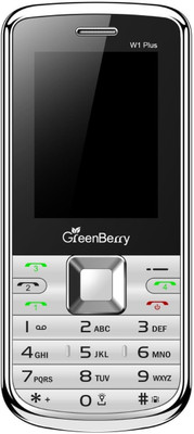 

GreenBerry W1 Plus(Silver)