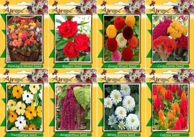 Airex Portulaca Mixed, Balsam, Zinnia Mixed, Cockscomb, Thunbergia, Amaranthus, White Zinnia, and Celosia Seed(15 per packet)