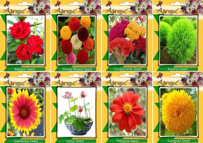 Airex Balsam, Zinnia Mixed, Cockscomb, Kochia, Gaillardia, Lotus, Tithonia, and Sungold Seed(15 per packet)