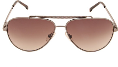 

Lacoste Aviator Sunglasses(Brown