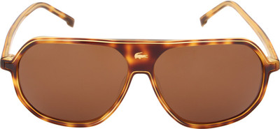 

Lacoste Wayfarer Sunglasses(Brown
